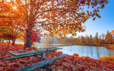 Change…What It Is And How To Do It?